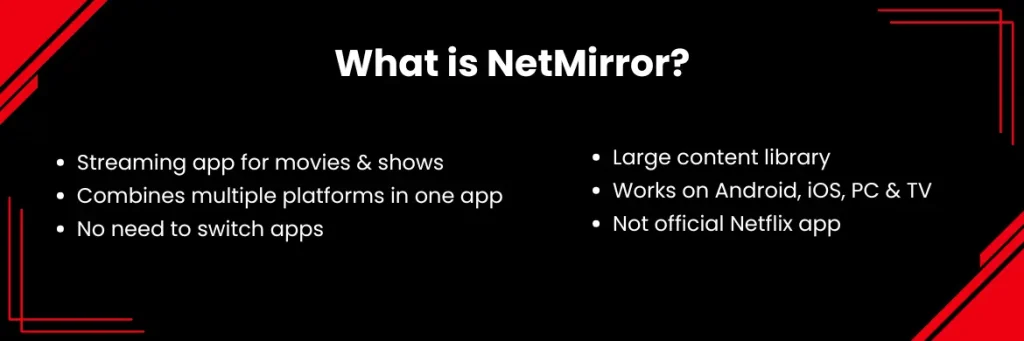 NetMirror
