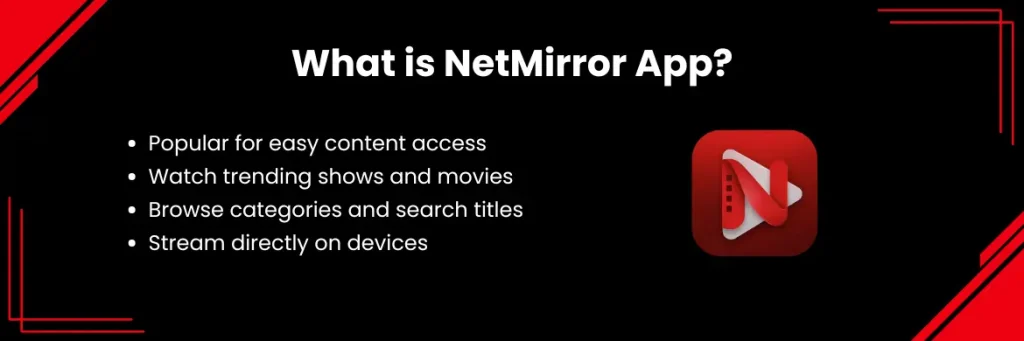NetMirror app