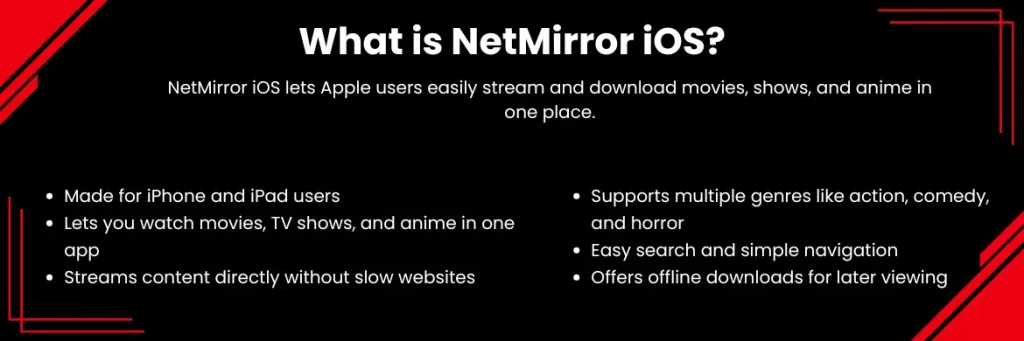 NetMirror iOS